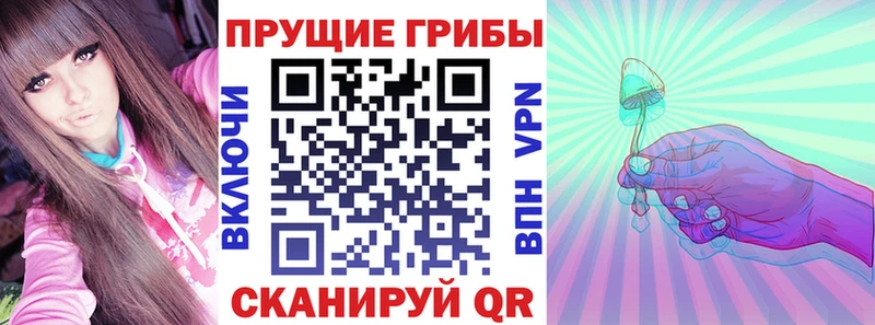 Псилоцибиновые грибы мухоморы  Купить закладки  Котельниково 